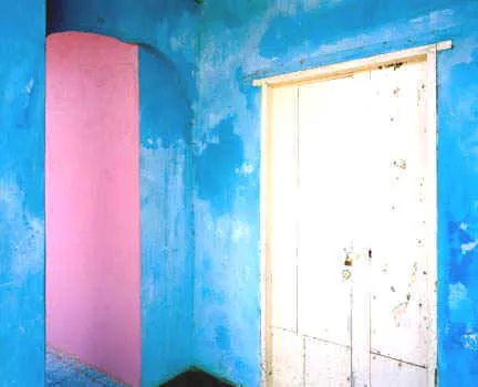 Photograph #401