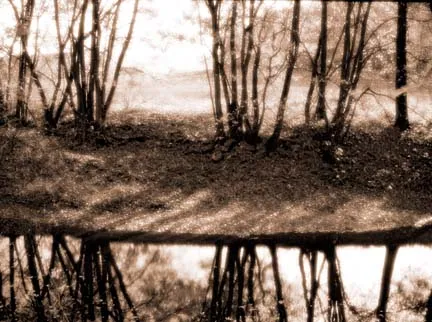 Photograph #735