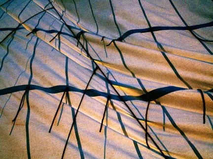 Photograph #764