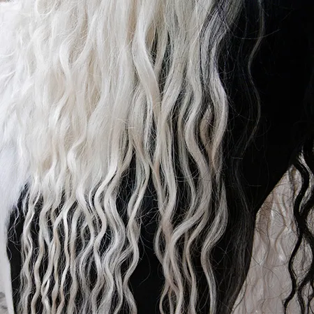 Photograph #880